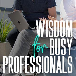 Wisdom for Busy Professionals