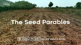 The Seed Parables - Disciple Makers Series #14 Matthew 13:24-30 New International Version