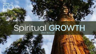 Spiritual Growth By Pete Briscoe Hebrews 5:13-14 New International Version