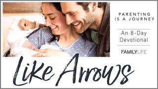 Like Arrows Proverbs 2:1-9 New International Version