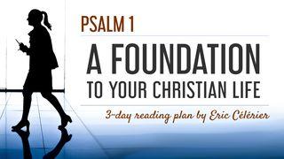 Psalm 1 - A Foundation To Your Christian Life Psalms 1:6 New International Version