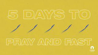 5 Days To Pray And Fast Matthew 6:5-8 New Living Translation