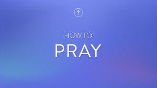 How To Pray Matthew 6:1-4 New International Version