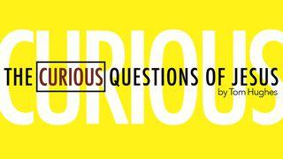 The Curious Questions Of Jesus John 16:27 New International Version