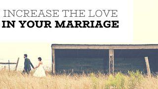 Increase The Love In Your Marriage Galatians 5:22-24 New International Version
