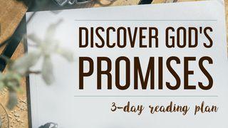 Discover God's Promises! Isaiah 55:8-11 The Message