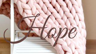 Hope Lamentations 3:19-26 New International Version