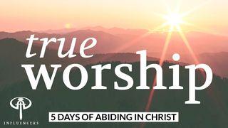 True Worship Psalms 51:17 New International Version