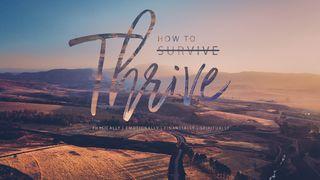 How To Thrive Mark 2:28 New International Version