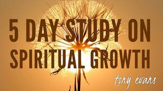 5 Day Study On Spiritual Growth 1 Corinthians 12:8 New International Version