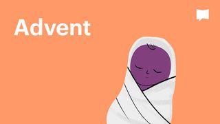 BibleProject | Advent Colossians 1:20-22 New International Version