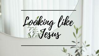 Looking Like Jesus ປະຖົມມະການ 1:28 ພຣະຄຳພີສັກສິ
