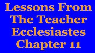 Wisdom Of The Teacher For College Students, Ch. 11 Ecclesiastes 11:7-10 New International Version