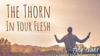 The Thorn In Your Flesh 2 Corinthians 12:9 Holman Christian Standard Bible