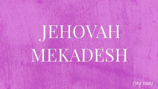 Jehovah Mekadesh Hebrews 12:14-15 New International Version