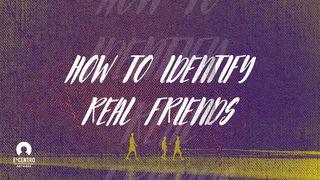 How To Identify Real Friends Proverbs 27:5-6 New International Version