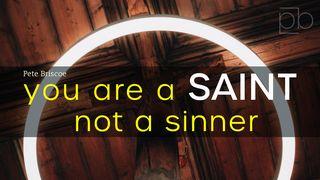 You Are A Saint, Not A Sinner By Pete Briscoe John 1:13-14 New International Version