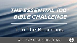 The Essential 100® Bible Challenge–1–In The Beginning Genesis 6:8, 9, 11, 12 New International Version