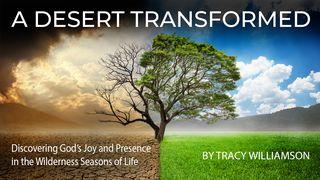A Desert Transformed Psalms 107:22 New International Version