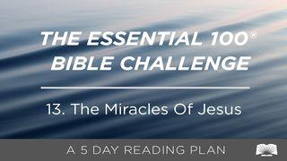 The Essential 100® Bible Challenge–13–The Miracles Of Jesus Matthew 14:30 New Living Translation