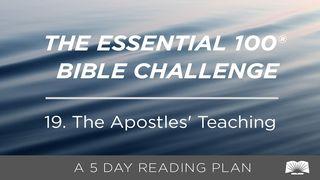 The Essential 100® Bible Challenge–19–The Apostles' Teaching James 1:16 New International Version