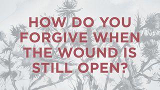 How Do You Forgive When The Wound Is Still Open? John 8:31-36 New International Version