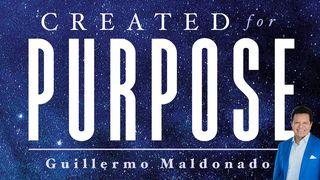 Created For Purpose Jeremiah 1:5 New International Version