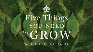 Five Things You Need To Grow 2 Timothy 3:14-17 New International Version