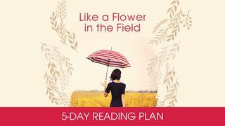 Like A Flower In The Field By Struik Christian Media Isaiah 62:3 King James Version