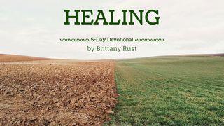 Proper Healing From Pain Hosea 2:14 New International Version