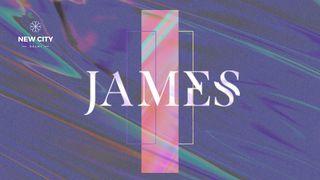 James: Wisdom for Practical Life James 5:20 New International Version