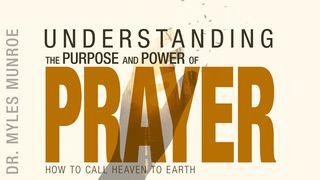 Understanding the Purpose and Power of Prayer Luke 17:6 New Living Translation