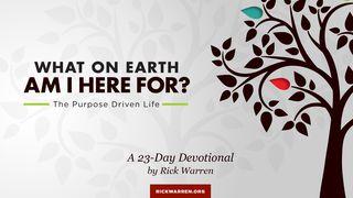 Live Your Calling: What On Earth Am I Here For 1 Thessalonians 1:8 New International Version