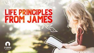 Life Principles From James James 5:14-15 King James Version