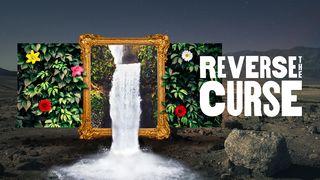 Reverse the Curse: How Jesus Moves Us From Death to Life Revelation 22:12-15 New International Version