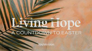 Living Hope: A Countdown to Easter John 20:9 New International Version