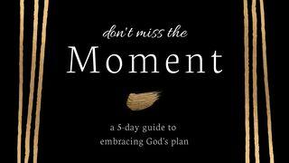 Don't Miss the Moment: A 5 Day Guide to Embracing God's Plan 1 Samuel 17:36-37 New International Version