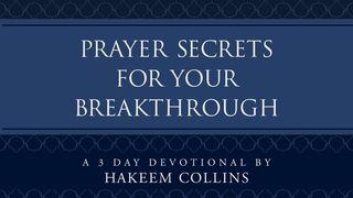 Prayer Secrets For Your Breakthrough Jeremiah 20:9 New International Version