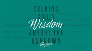 Seeking Godly Wisdom Amidst the Unknown Proverbs 3:13-26 King James Version