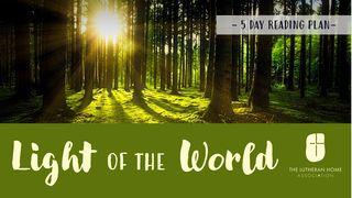 Light Of The World Acts 16:31 New King James Version