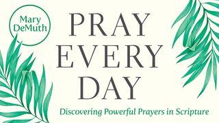 Pray Every Day Psalms 51:13 New International Version