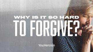 Why Is It So Hard to Forgive? Matthew 4:22 New International Version