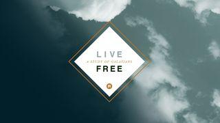 Live Free: A Study of Galatians  Galatians 2:11-21 New International Version