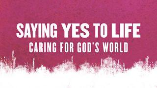 Saying Yes To Life Psaltaren 104:26 Svenska Folkbibeln