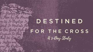 Destined for the Cross Mark 16:16 New International Version