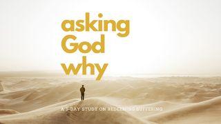 Asking God Why Psalms 28:6-7 New International Version