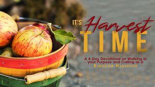 It's Harvest Time Juan 4:35 Nueva Traducción Viviente