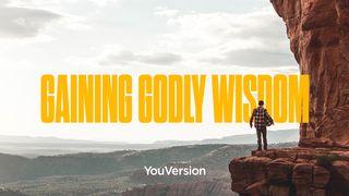 Gaining Godly Wisdom Matthew 7:24-29 New Living Translation