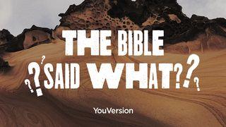 The Bible Said What? Genesis 2:25 New International Version