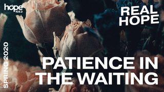 Real Hope: Patience in the Waiting Lamentations 3:26-27 New Living Translation